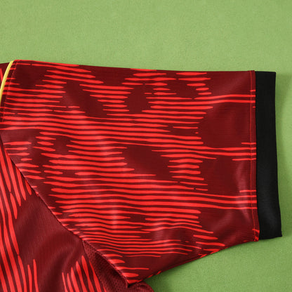 Brazil 2025/26 Red Concept Football Jersey