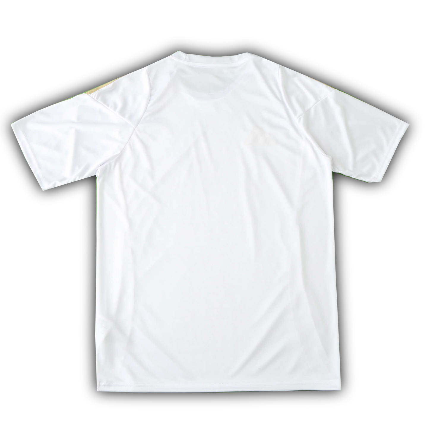 Algeria 2024/25 Concept Football Jersey – Fan Version White & Gold