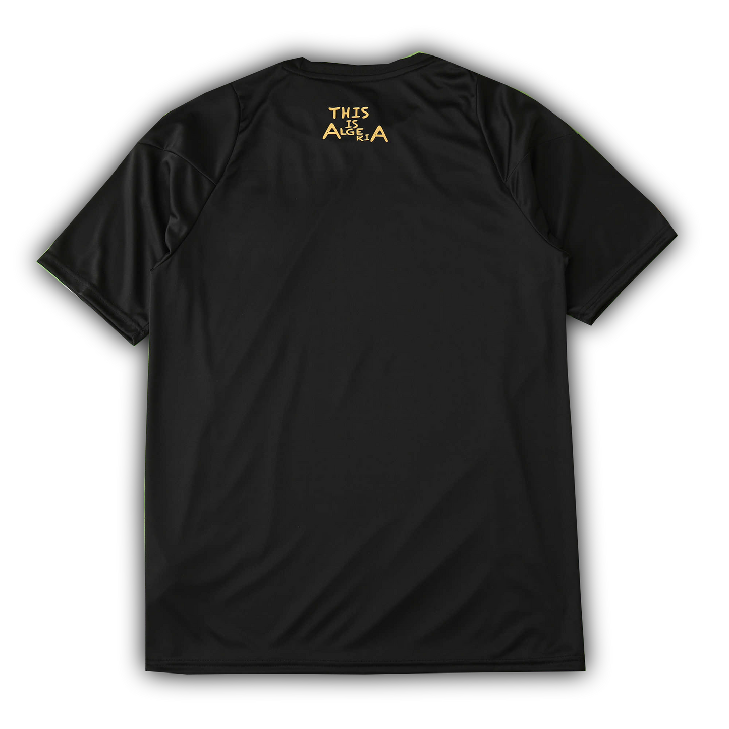 Algeria 2024/25 Concept Football Jersey – Fan Version Black & Gold